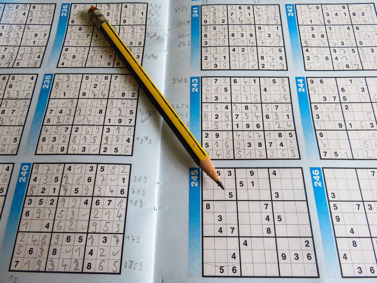 2024澳门天天开彩开奖结果，快速问题解答，实验版19.5175